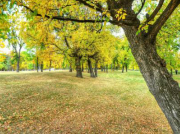 南方立式離心泵老發噪聲是什么原因?