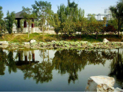 為什么現在南方電機比以前更容易燒壞?